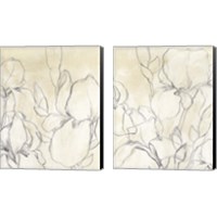 Framed 'Iris Garden Sketch 2 Piece Canvas Print Set' border=