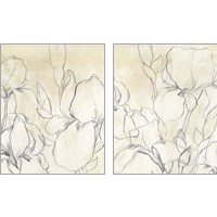Framed 'Iris Garden Sketch 2 Piece Art Print Set' border=