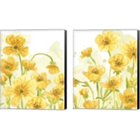 Framed 'Sunshine Meadow 2 Piece Canvas Print Set' border=