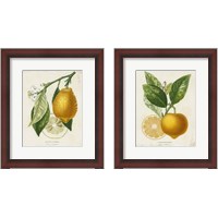 Framed 'French Lemon 2 Piece Framed Art Print Set' border=