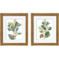 Framed Seeded Eucalyptus 2 Piece Framed Art Print Set