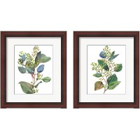 Framed 'Seeded Eucalyptus 2 Piece Framed Art Print Set' border=