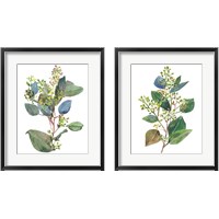 Framed 'Seeded Eucalyptus 2 Piece Framed Art Print Set' border=