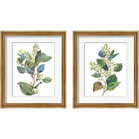 Framed Seeded Eucalyptus 2 Piece Framed Art Print Set