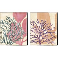 Framed Chromatic Sea Tangle 2 Piece Canvas Print Set