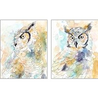Framed 'Owl Majestic 2 Piece Art Print Set' border=