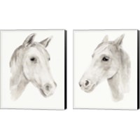 Framed 'Ivory Stallion 2 Piece Canvas Print Set' border=