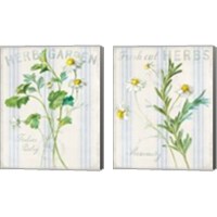 Framed 'Floursack Herbs 2 Piece Canvas Print Set' border=