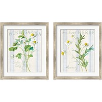 Framed Floursack Herbs 2 Piece Framed Art Print Set