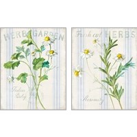 Framed Floursack Herbs 2 Piece Art Print Set