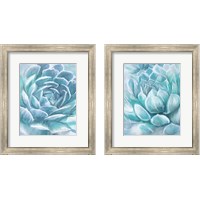 Framed Aqua Succulen 2 Piece Framed Art Print Set