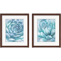 Framed Aqua Succulen 2 Piece Framed Art Print Set