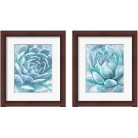 Framed Aqua Succulen 2 Piece Framed Art Print Set