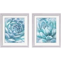 Framed Aqua Succulen 2 Piece Framed Art Print Set