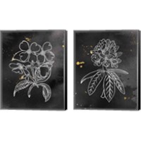 Framed Indigo Blooms Black 2 Piece Canvas Print Set