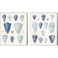 Framed 'Blue Shell Assortment 2 Piece Canvas Print Set' border=