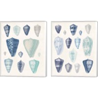 Framed 'Blue Shell Assortment 2 Piece Canvas Print Set' border=