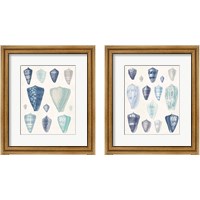 Framed 'Blue Shell Assortment 2 Piece Framed Art Print Set' border=