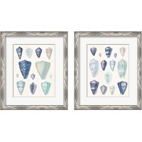 Framed 'Blue Shell Assortment 2 Piece Framed Art Print Set' border=