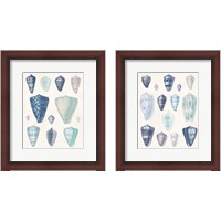 Framed 'Blue Shell Assortment 2 Piece Framed Art Print Set' border=