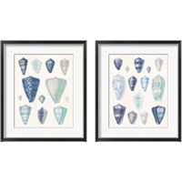 Framed 'Blue Shell Assortment 2 Piece Framed Art Print Set' border=