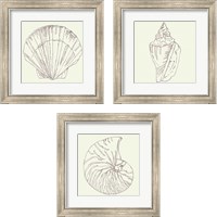 Framed 'Coastal Breeze Sketches Silver 3 Piece Framed Art Print Set' border=