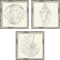 Framed 'Coastal Breeze Sketches Silver 3 Piece Framed Art Print Set' border=