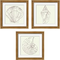 Framed 'Coastal Breeze Sketches Silver 3 Piece Framed Art Print Set' border=