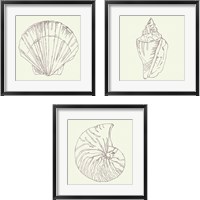 Framed 'Coastal Breeze Sketches Silver 3 Piece Framed Art Print Set' border=