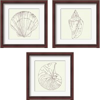 Framed 'Coastal Breeze Sketches Silver 3 Piece Framed Art Print Set' border=