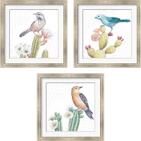 Framed Desert Beauties 3 Piece Framed Art Print Set