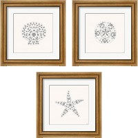 Framed Sea Charms Silver 3 Piece Framed Art Print Set