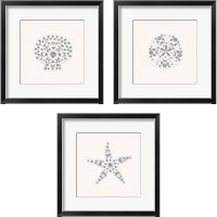 Framed Sea Charms Silver 3 Piece Framed Art Print Set