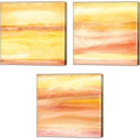 Framed 'Golden Sands 3 Piece Canvas Print Set' border=
