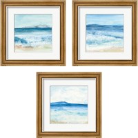 Framed 'Coastal 3 Piece Framed Art Print Set' border=