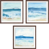 Framed 'Coastal 3 Piece Framed Art Print Set' border=