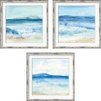 Framed Coastal 3 Piece Framed Art Print Set
