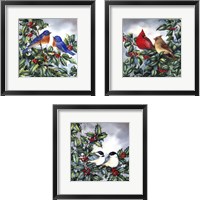 Framed 'Birds in Nature 3 Piece Framed Art Print Set' border=