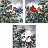 Framed 'Birds in Nature 3 Piece Art Print Set' border=