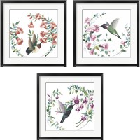 Framed 'Floral Hummingbirds 3 Piece Framed Art Print Set' border=
