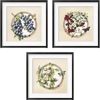 Framed 'Traditional Fruit 3 Piece Framed Art Print Set' border=
