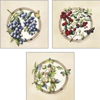 Framed 'Traditional Fruit 3 Piece Art Print Set' border=