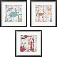 Framed 'Crabs on Driftwood Panel 3 Piece Framed Art Print Set' border=