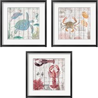 Framed 'Crabs on Driftwood Panel 3 Piece Framed Art Print Set' border=