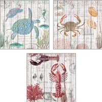 Framed 'Crabs on Driftwood Panel 3 Piece Art Print Set' border=