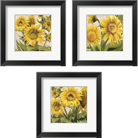Framed 'Sunflower Surprise 3 Piece Framed Art Print Set' border=