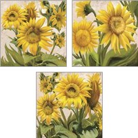 Framed 'Sunflower Surprise 3 Piece Art Print Set' border=