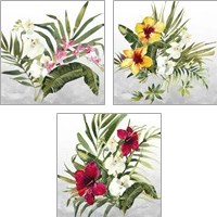 Framed 'Beautiful Orchids 3 Piece Art Print Set' border=