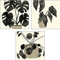 Framed 'Plantling 3 Piece Art Print Set' border=