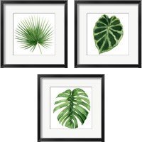 Framed 'Rainforest Jewel 3 Piece Framed Art Print Set' border=